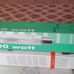 projektoryñ lampasy