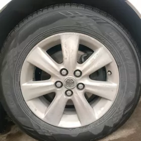 Karolla diska haliji