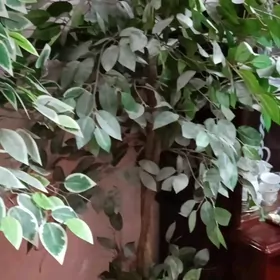 искусственное дерево