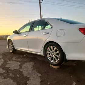 17lik limited 2diska