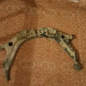 leganziya doewo çaşga