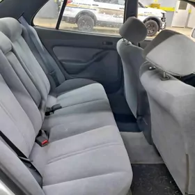 Sidenya Samsyk kemry