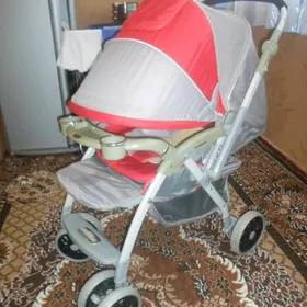 Çaga kalÿaska samakat