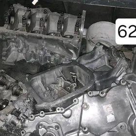 carolla blok galowka