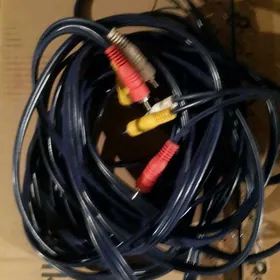 ТЮЛЬПАНЫ.  ДЛЯ  ВСЕГО