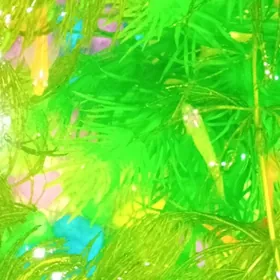 Akwarium reňkli balyklar