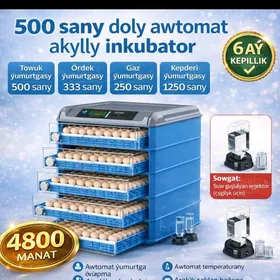 inkubator