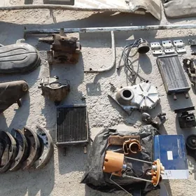 Gazel Zapjas газель