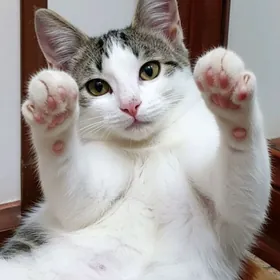 Милый Малыш