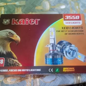 duty awalon dalny let