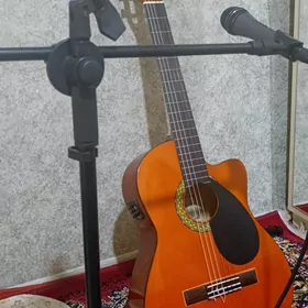 gitara aparada catyp bolya