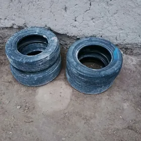 opel zapjaslary bar arzan baha