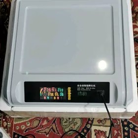 Inkubator.Инкубатор