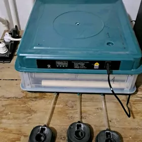 Инкубатор Брудер