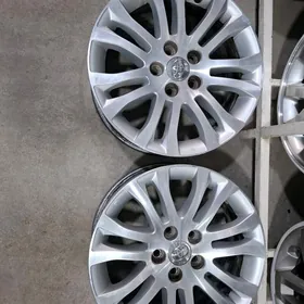 Siýena Xle Arginal R17