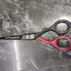 jaguar kantoka gaycy