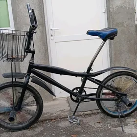 tigir gyssagly dort duga welik