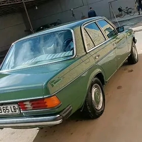 Mercedes-Benz W123 1980