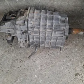 GAZEL ZAPJAS KAROPKA 5SKORS