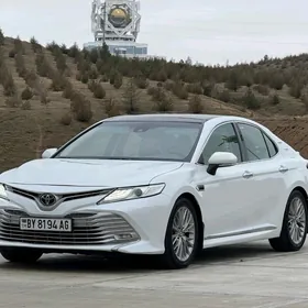 Toyota Camry 2019