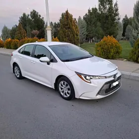 Toyota Corolla 2020