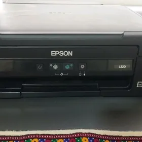 kompyuter epson 220
