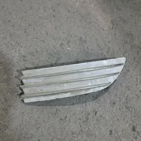 Sienna tumannik kriska