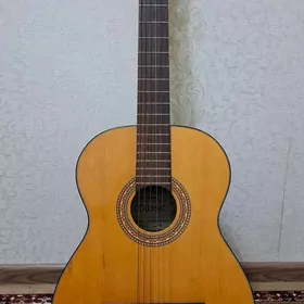 гитара классическая концертная