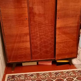 şwaner uç acylyanly