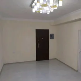 Мир 7/1 полуподвал