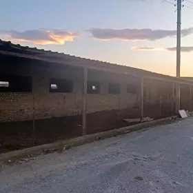 ÄNEW ÖNÜMÇILIK 72 SOTAK