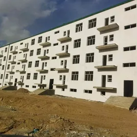 anew kerpichka we panel domlar