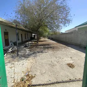 SATLYK JAÝ. MAGTYMGULY