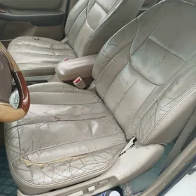 sdenye cemedan avalonky