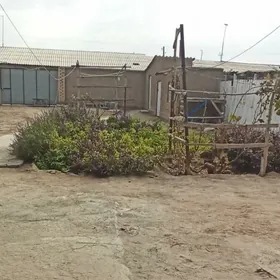 Satlyk ýaşaýyş jay