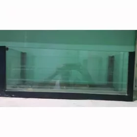 akwarium yasama.aynasy galyn