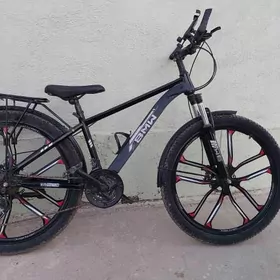 Spirtiwnyý welosipet