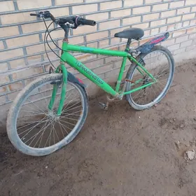 ведсапет спорт