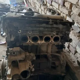 Diwitil okuz kelle 2010