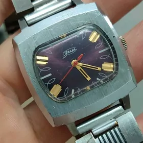 Sagat Часы Зим