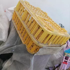 ketek jüyje towuk ucin