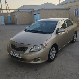Toyota Corolla 2010