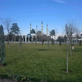 Satlyk jay 30 mek 3etaz 1kom