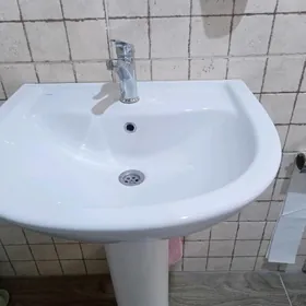 Раковина тюльпан