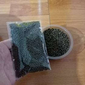 карм для рыба