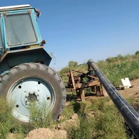 nasos 150lik angiljan