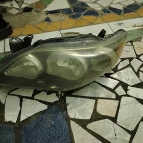 Fara Carolla S klass