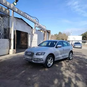 Audi Q5 2009