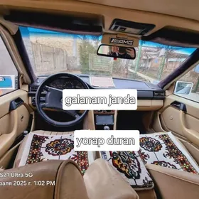 Mercedes-Benz W123 1988