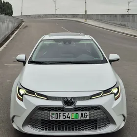 Toyota Corolla 2023
